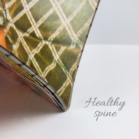 Latin Teen Magazine VTG 2000 Aguilera Iglesias Ricky Martin Shakira w/ Posters - Picture 7 of 10